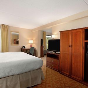 One-Bedroom King Suite Sofa Bed Non-Smoking